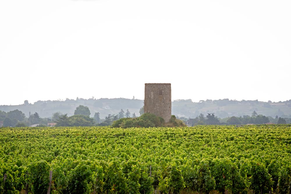 Vins appellation Cérons